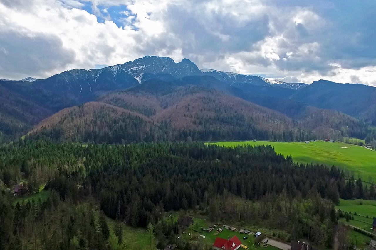 Hotel Nalecz City Center Zakopane Exterior photo